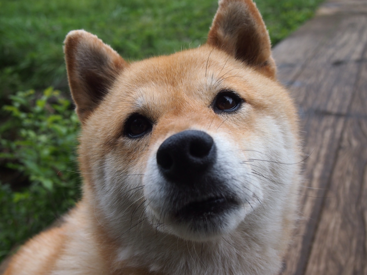 FB体育平台-_科技+体育：装备革命引领未来运动新潮流_，装备器材革新