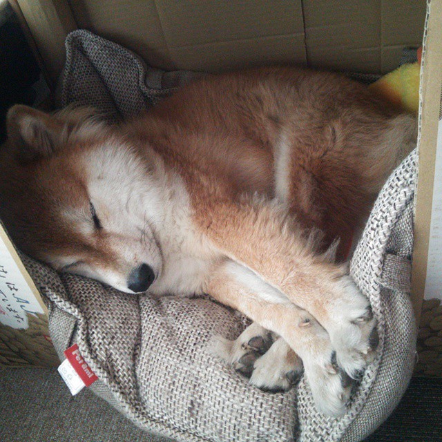 FB体育-史上最火爆的“跨界合作”——体育、娱乐、科技的完美融合，跨界合作有哪些