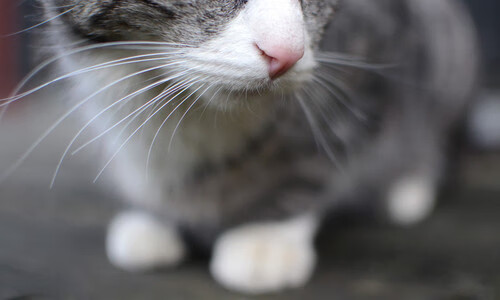 FB体育官方-广场舞成为城市风景线，城市广场舞图片