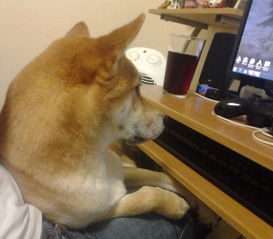 FB体育在线-特色篮球文化节在多座城市轮番举行，传播运动正能量，校园篮球文化节