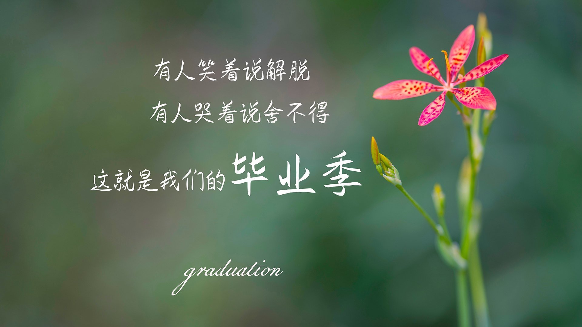 FB体育官方-埃弗顿主场战胜阿斯顿维拉，英超保级形势良好，埃弗顿对阵