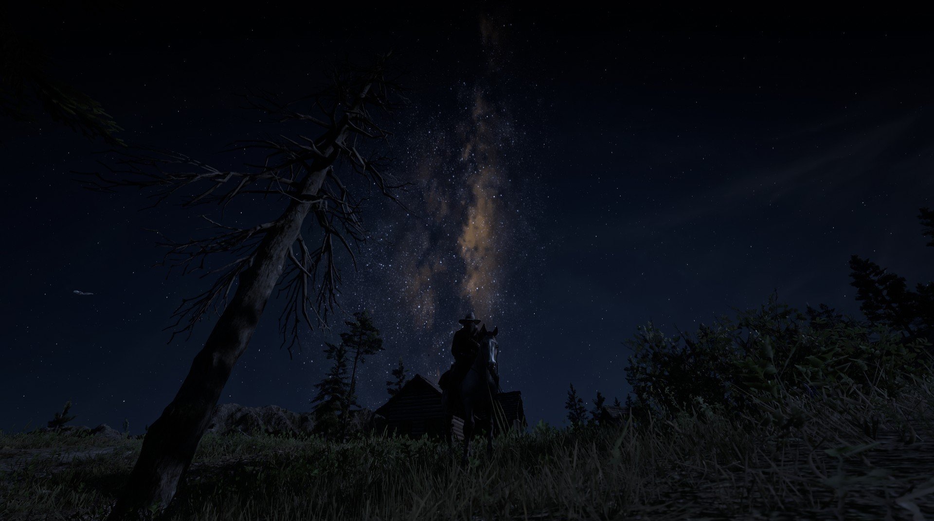 FB体育网站-巴西女足迎来年轻新星，巴西女足名将