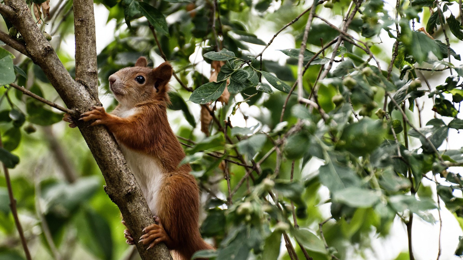 FB体育官网平台-“新加坡泳池激战!2025世界游泳锦标赛精彩开幕”