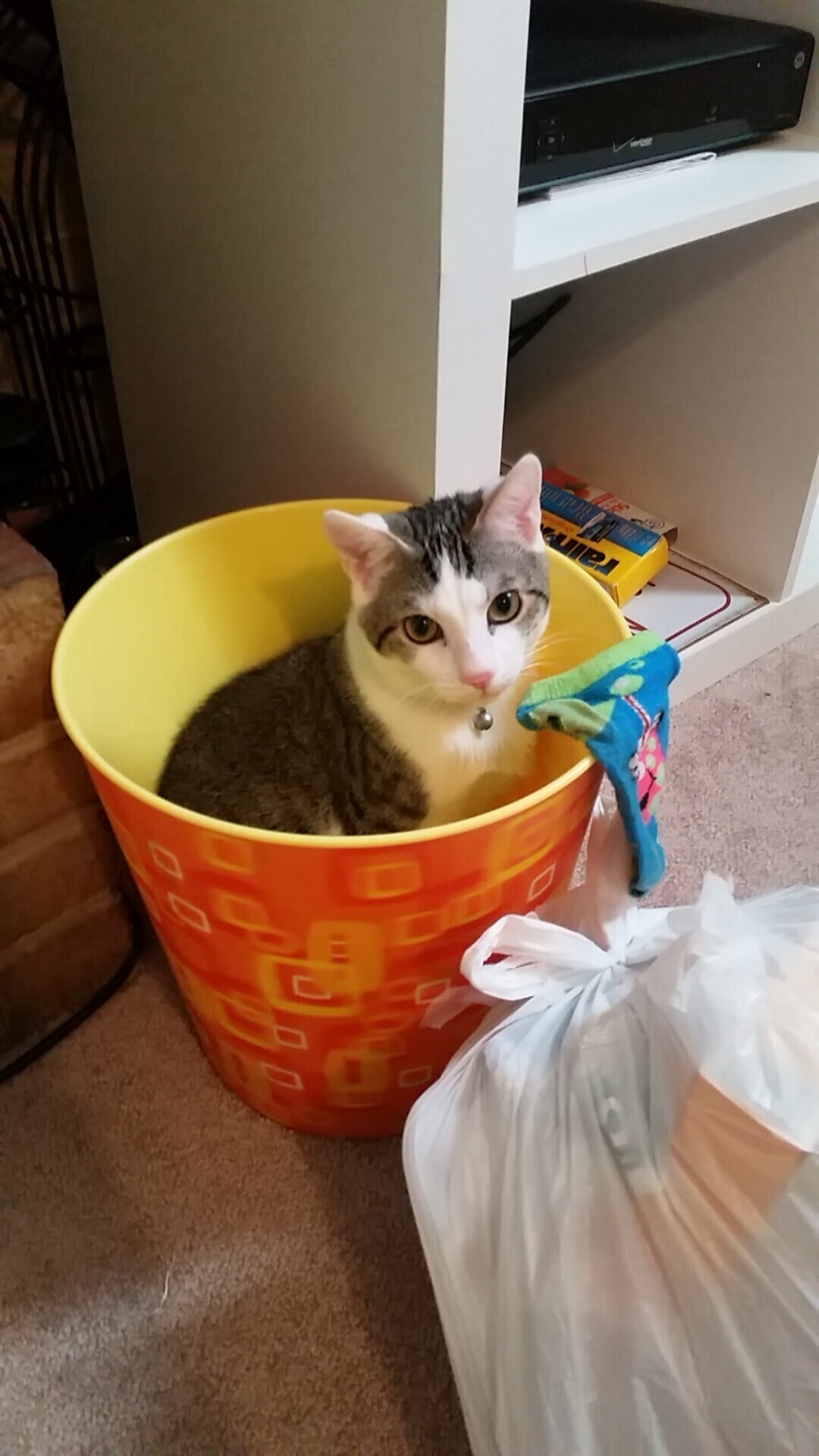 fb体育网址-三年转身精度统计：中选手误差率下降30%