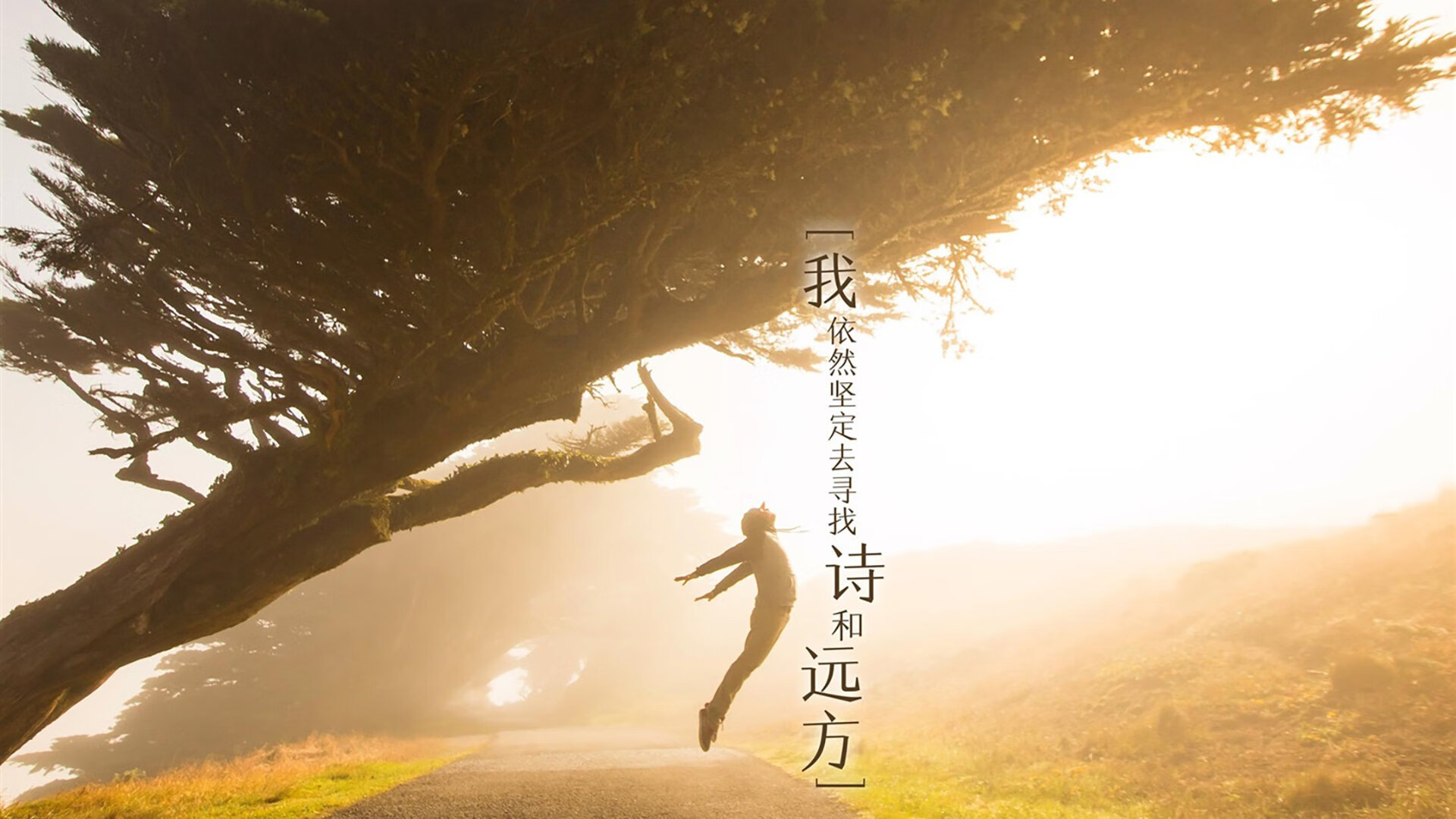 -中国三人女篮注重技术训练，中国三人女篮什么意思