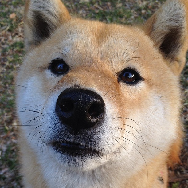 fb体育网址-体育新闻中心承办体育新闻专业竞赛活动，体育新闻评选