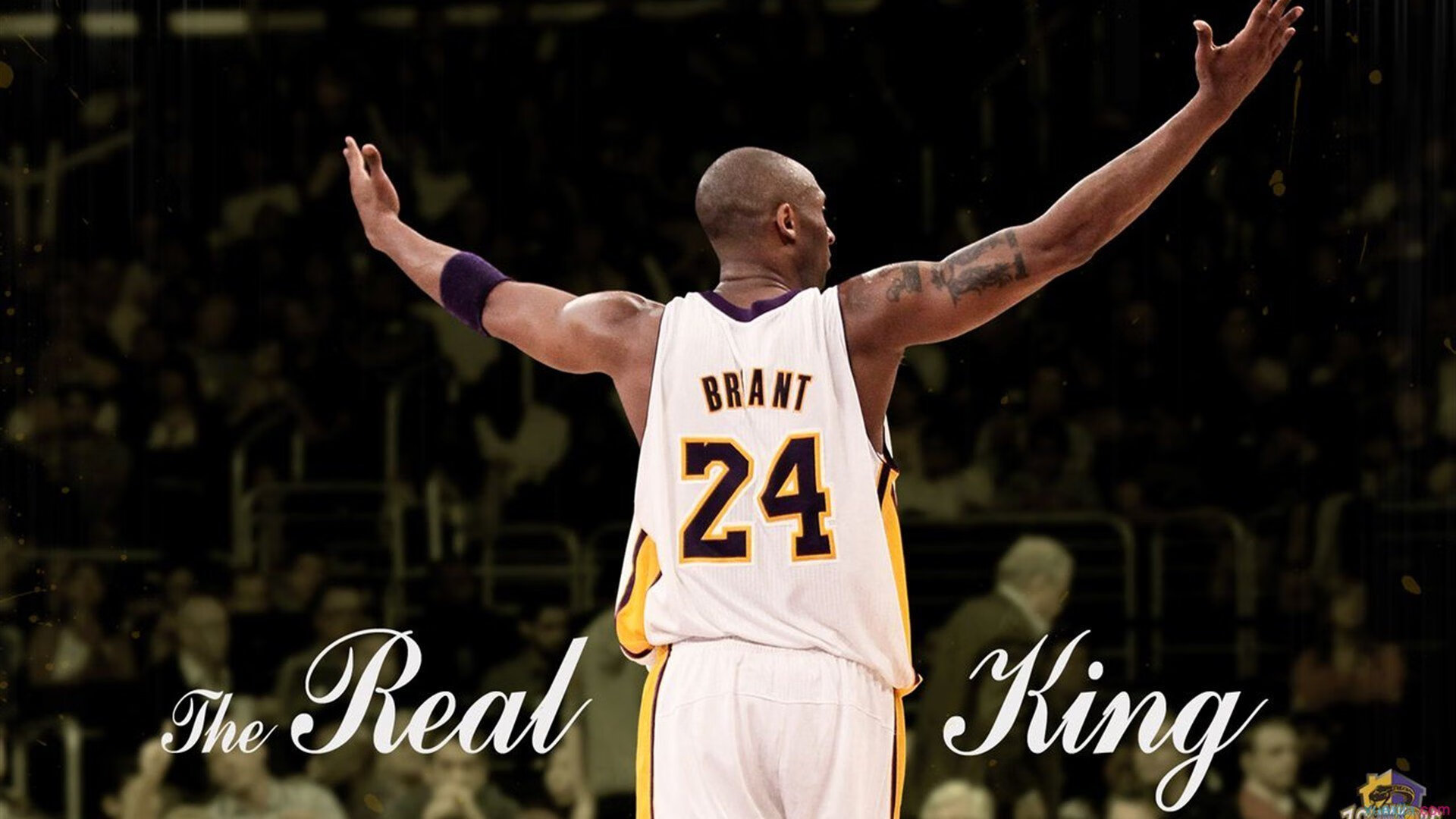 APEX英雄 新星选手表现出色，apex2021新英雄